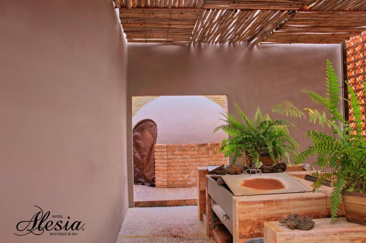 Alesia - Boutique Hotel & Spa Aguascalientes Zewnętrze zdjęcie