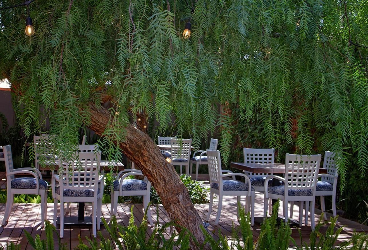Alesia - Boutique Hotel & Spa Aguascalientes Zewnętrze zdjęcie