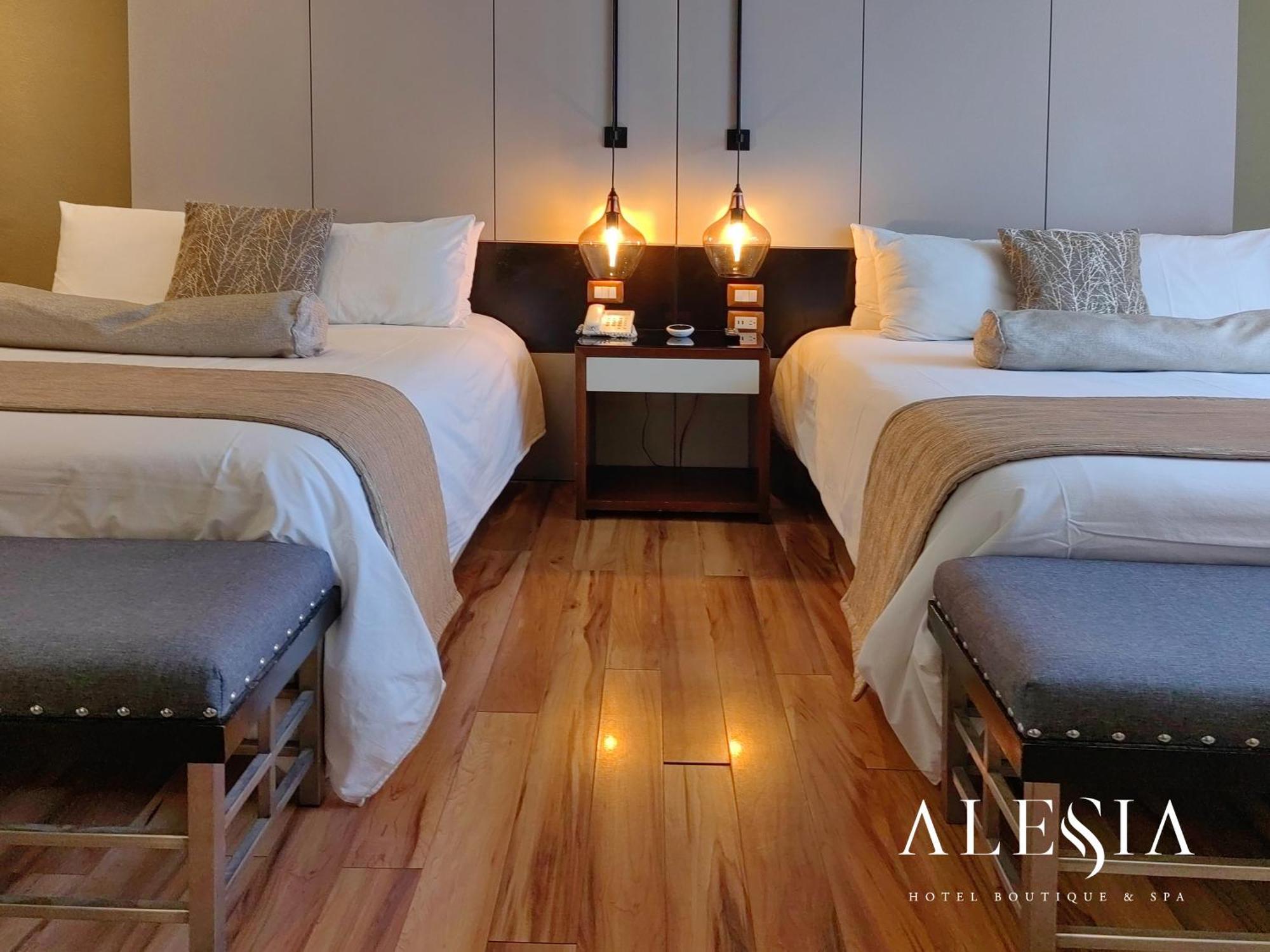 Alesia - Boutique Hotel & Spa Aguascalientes Zewnętrze zdjęcie