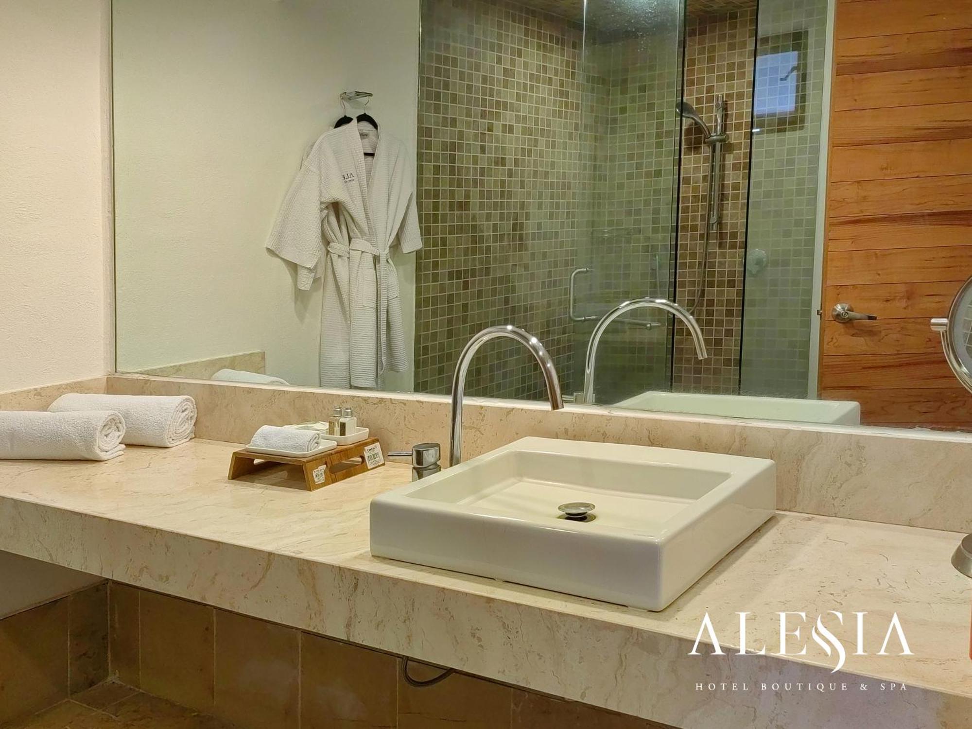 Alesia - Boutique Hotel & Spa Aguascalientes Zewnętrze zdjęcie