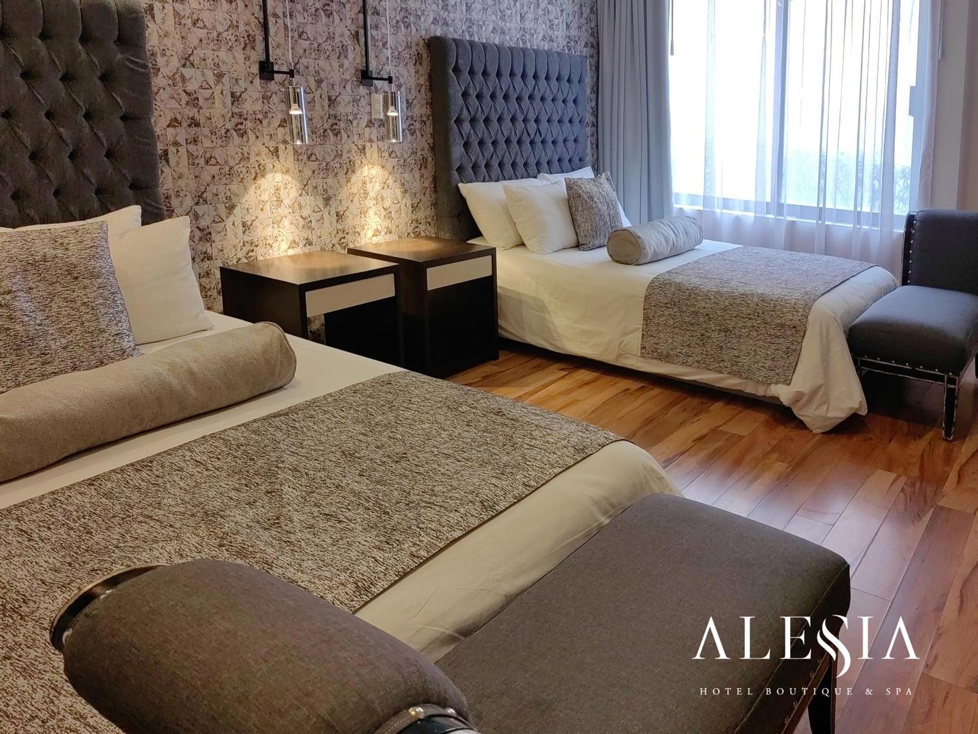 Alesia - Boutique Hotel & Spa Aguascalientes Zewnętrze zdjęcie