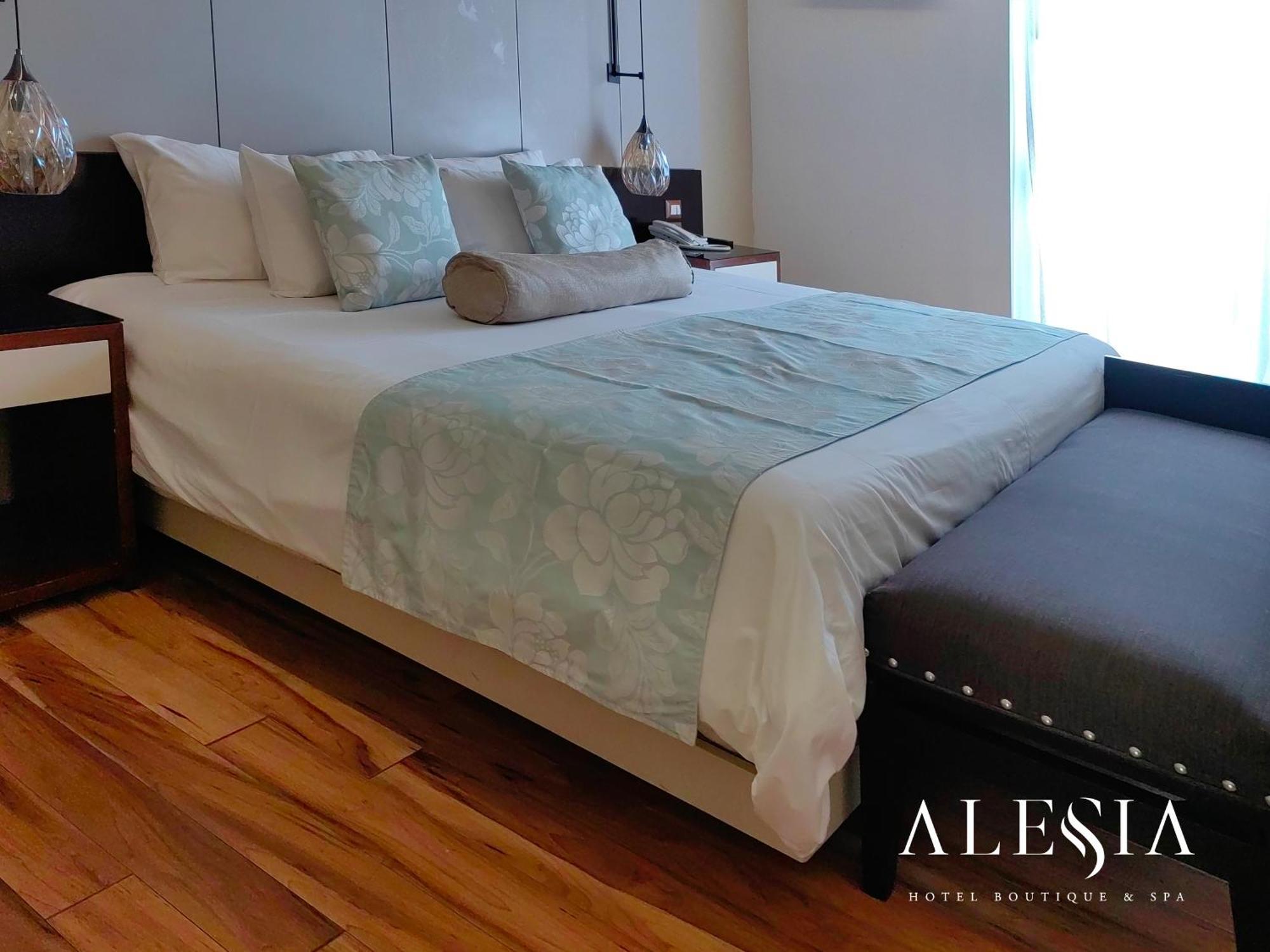 Alesia - Boutique Hotel & Spa Aguascalientes Zewnętrze zdjęcie